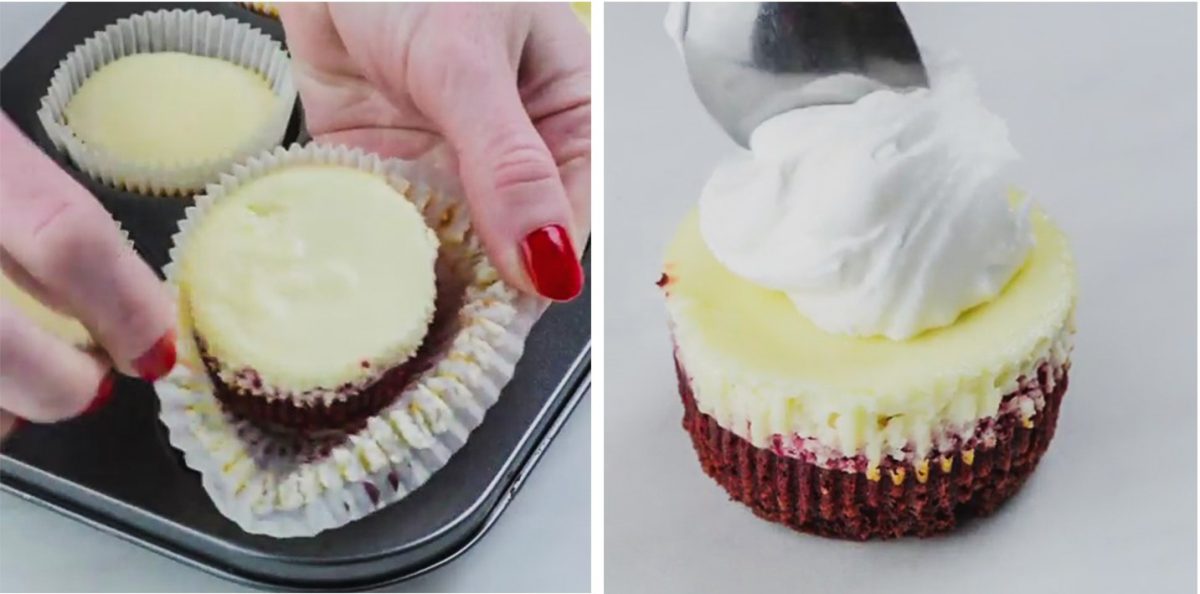 Red Velvet cheesecake cupcake