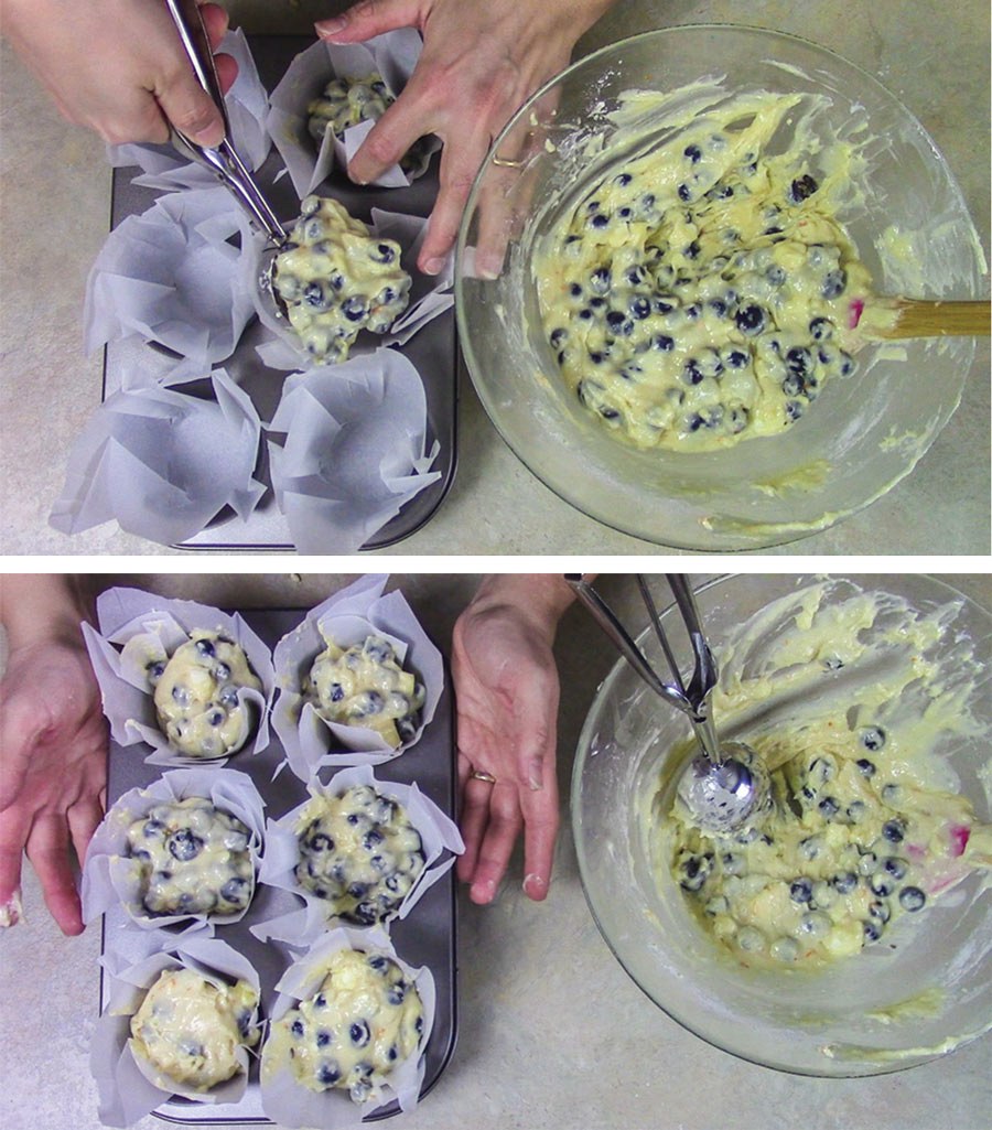 Muffin ai mirtilli - Blueberry muffin