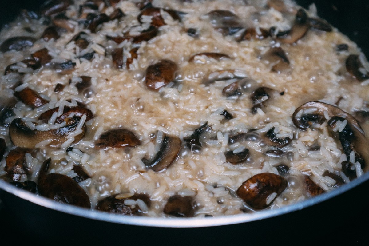 Risotto ai funghi